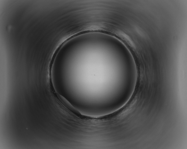 X0000095131226200712141150