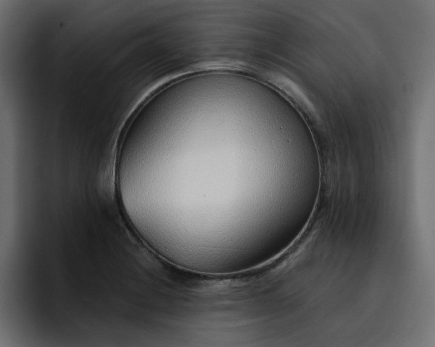 X0000095131228200712141150