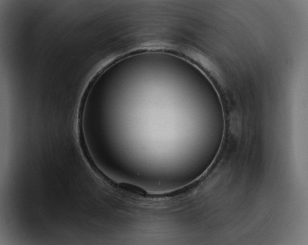 X0000095131229200712141150