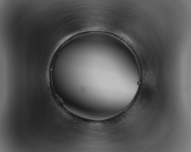 X0000095131230200712141150