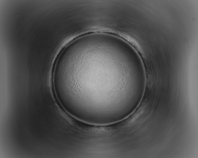 X0000095131231200712141150