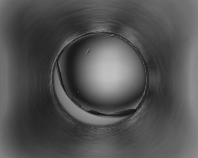 X0000095131234200712141150