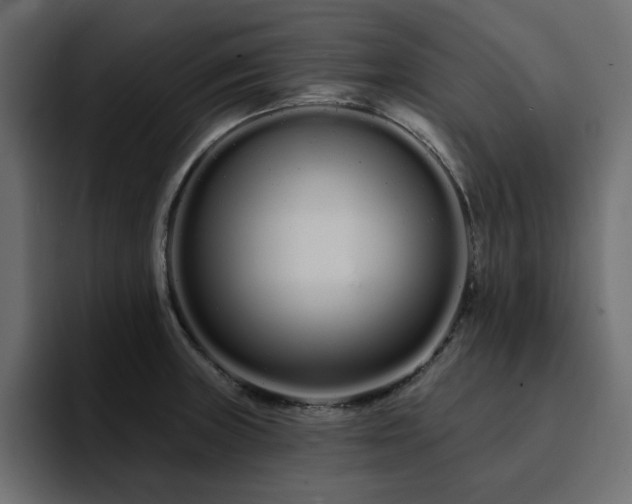 X0000095131235200712141150