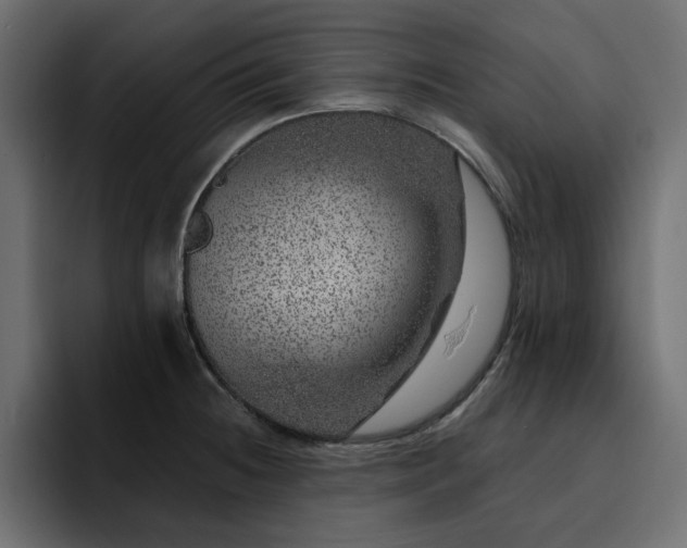 X0000095131236200712141150