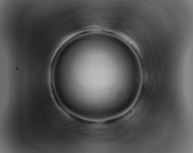 X0000095131239200712141150