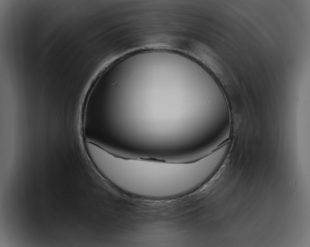 X0000095131240200712141150