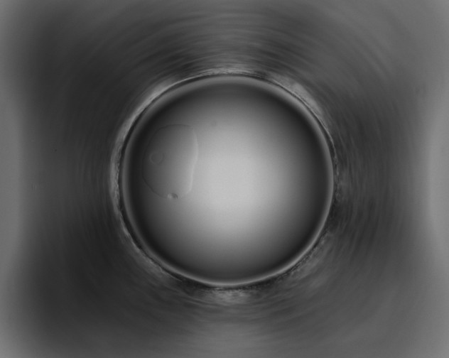 X0000095131243200712141150