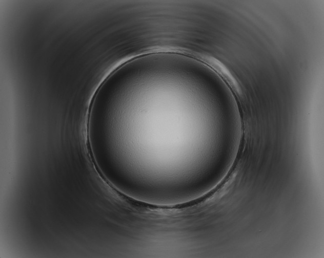 X0000095131244200712141150