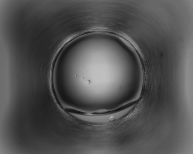 X0000095131245200712141150