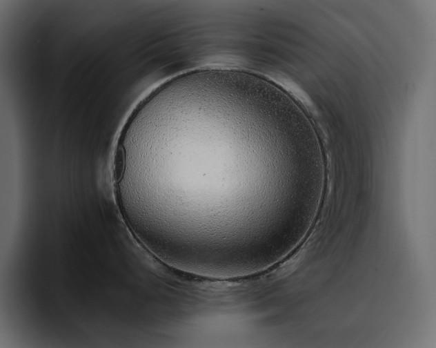 X0000095131248200712141150