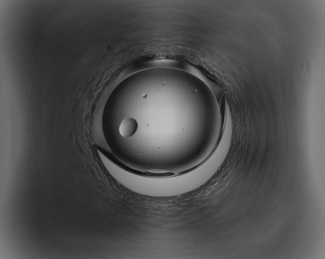 X0000095131249200712141149