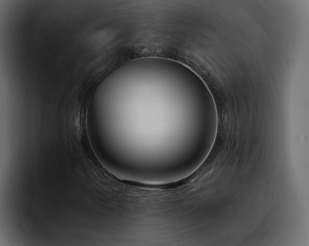 X0000095131250200712141149