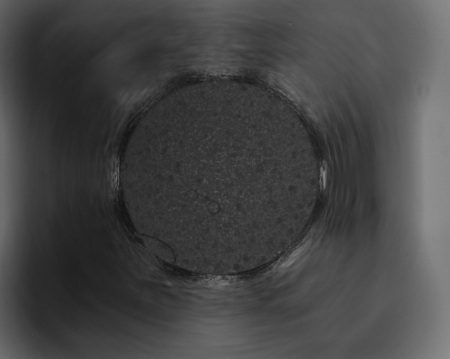 X0000095131251200712141149