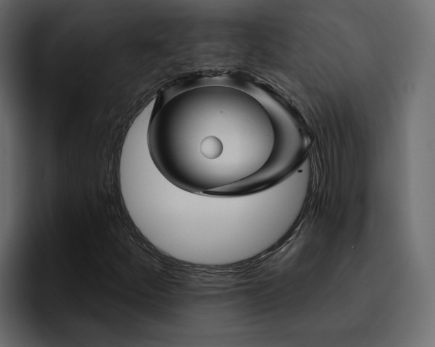 X0000095131252200712141149