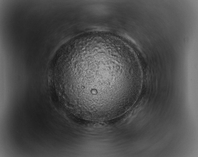 X0000095131255200712141149