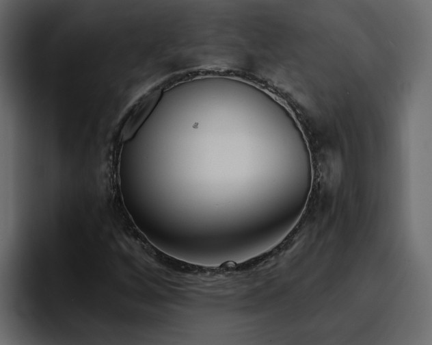 X0000095131256200712141149