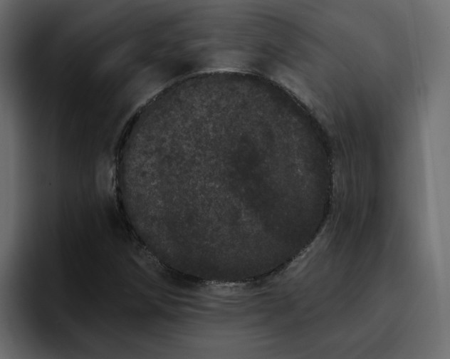 X0000095131258200712141149