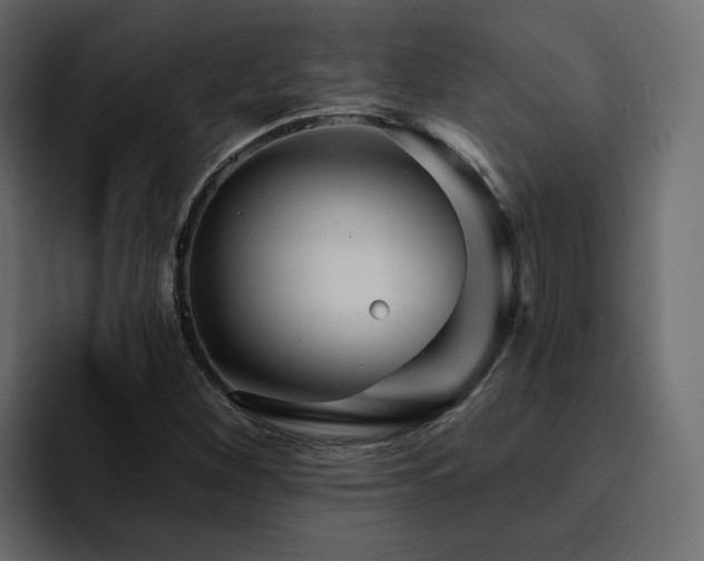 X0000095131260200712141149