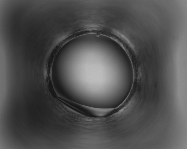 X0000095131261200712141149