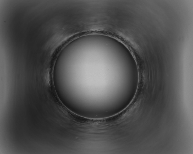 X0000095131262200712141149