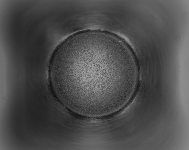 X0000095131263200712141149