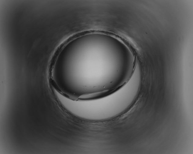 X0000095131264200712141149