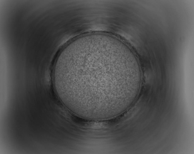 X0000095131266200712141149