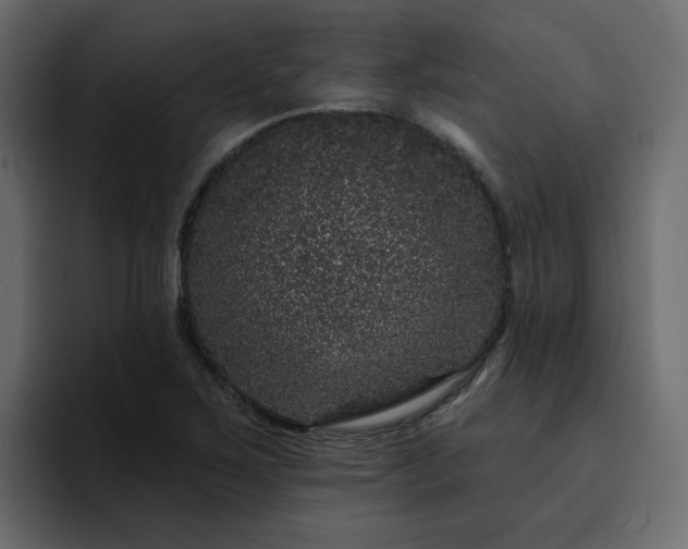 X0000095131267200712141149