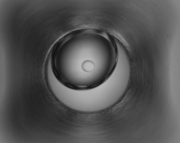 X0000095131268200712141149