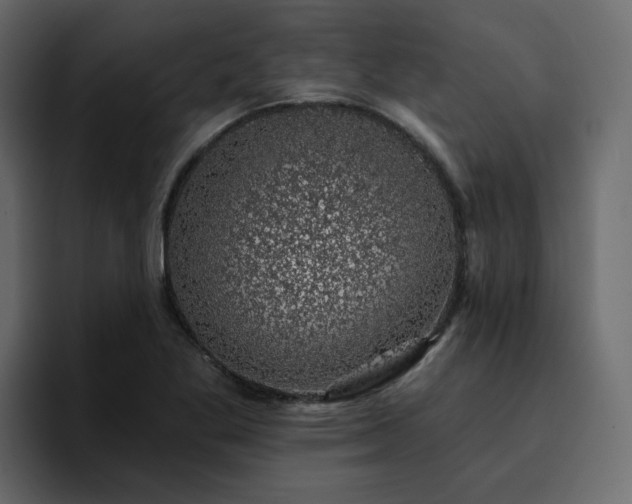 X0000095131269200712141149