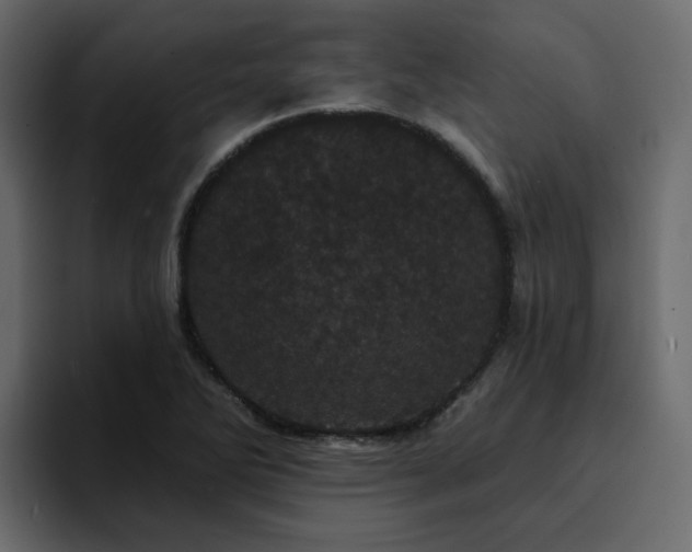 X0000095131270200712141149