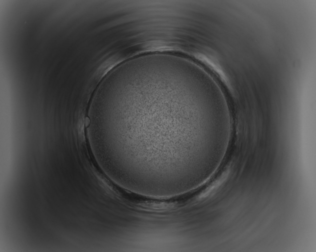 X0000095131273200712141149