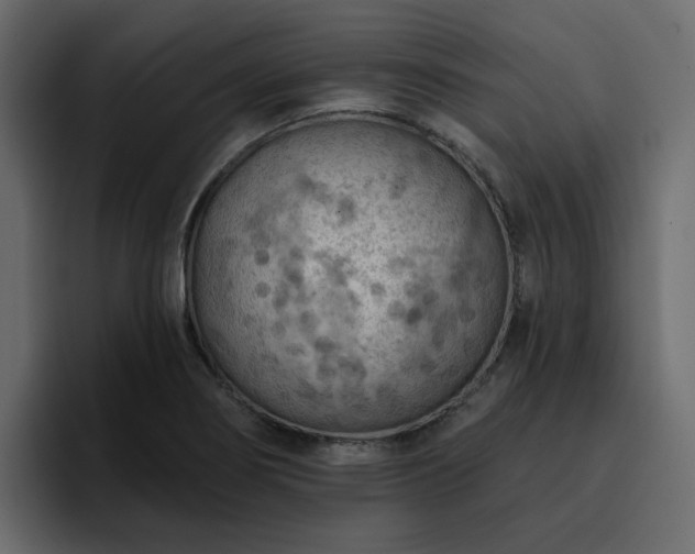 X0000095131274200712141149