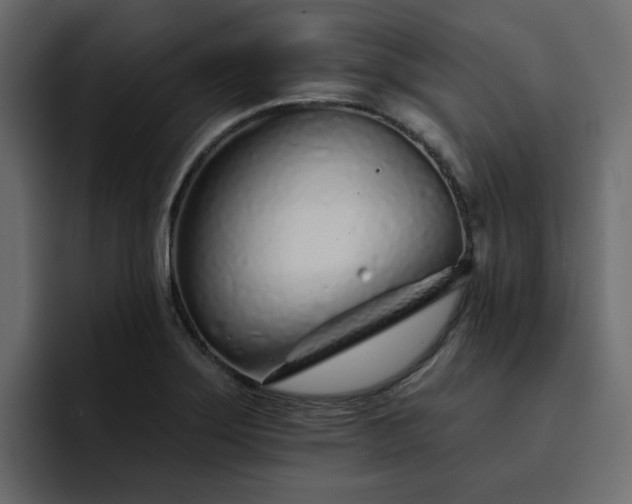 X0000095131275200712141149