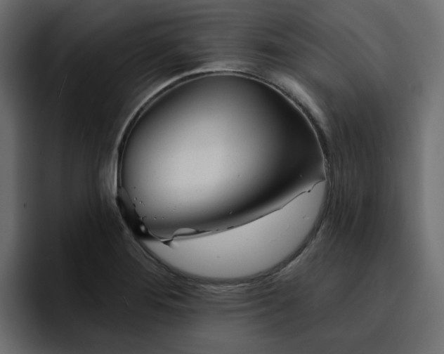 X0000095131276200712141149