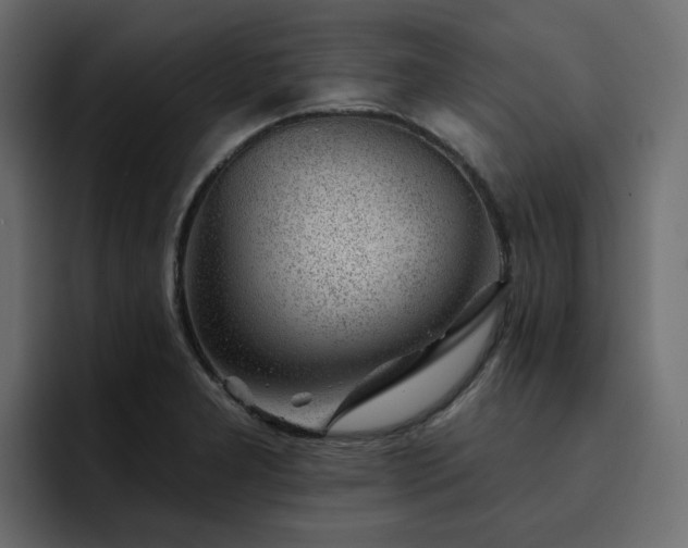 X0000095131277200712141149