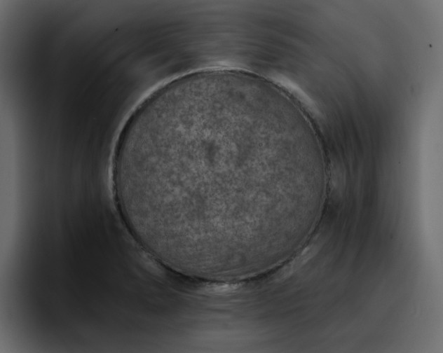 X0000095131278200712141149