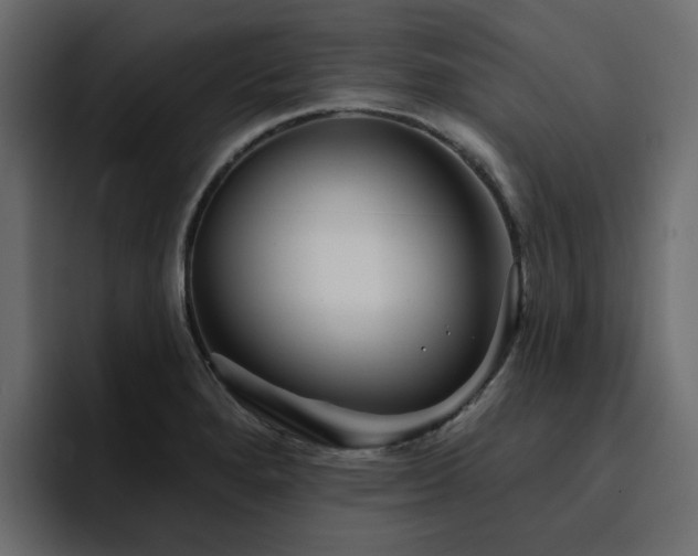 X0000095131280200712141149