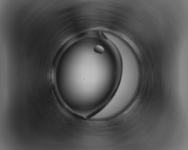 X0000095131281200712141149