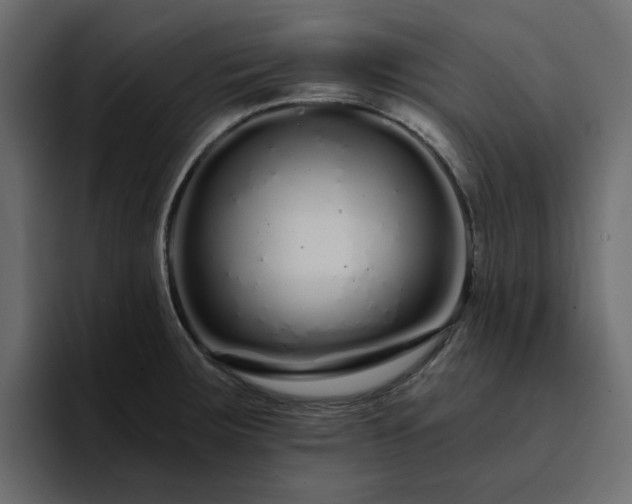 X0000095131283200712141149