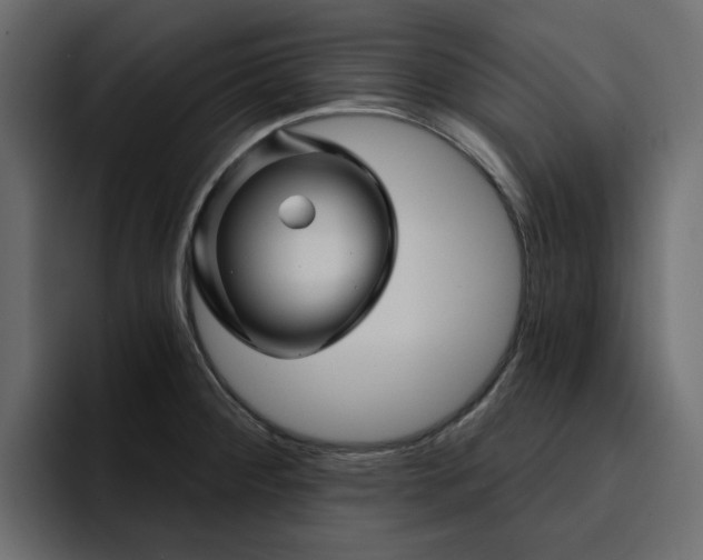 X0000095131284200712141149