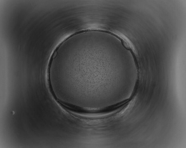 X0000095131285200712141149