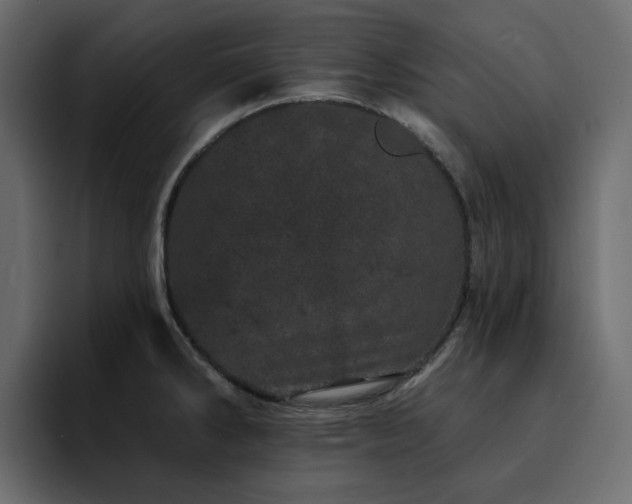 X0000095131286200712141149