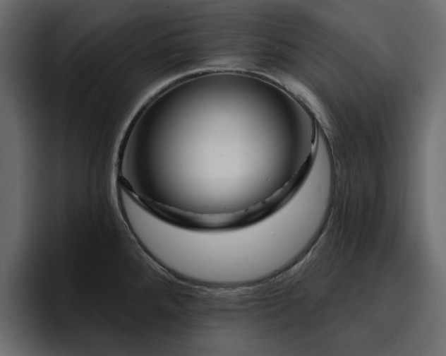 X0000095131288200712141149