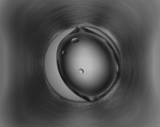 X0000095131289200712141149