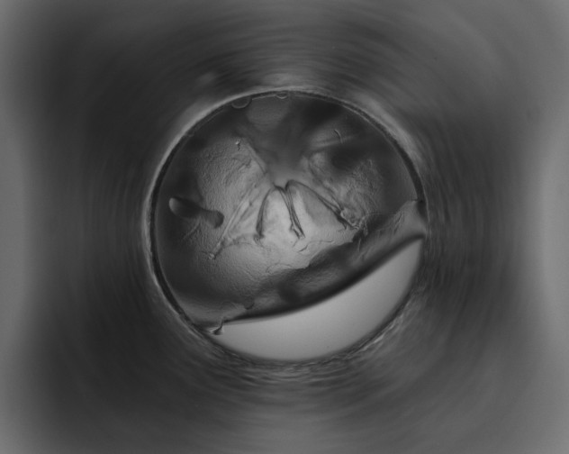 X0000095131291200712141149