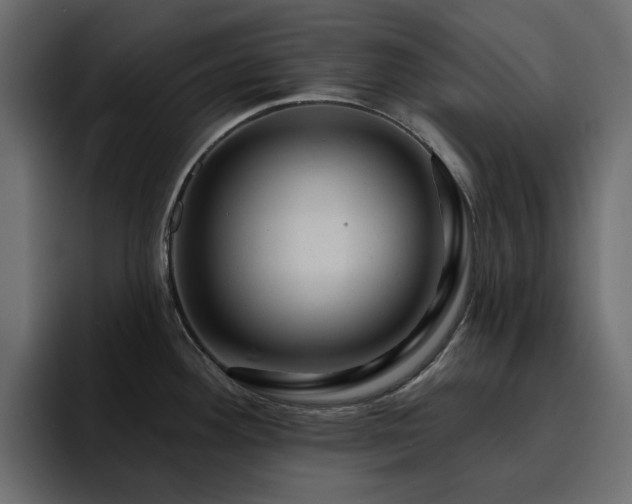 X0000095131292200712141149