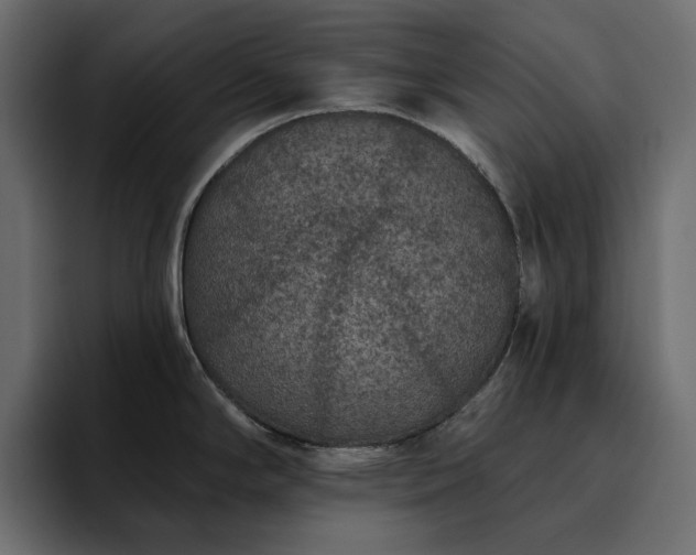 X0000095131294200712141149