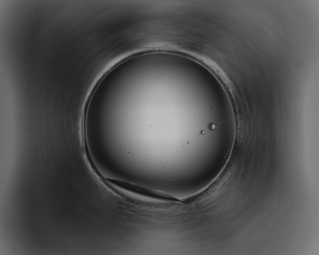 X0000095131295200712141149