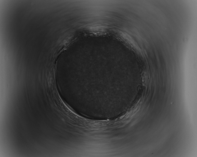 X0000095131298200712141148